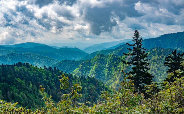 Lush green mountain peaks under a dramatic cloudy sky, highlighting outdoor family travel and kid-friendly attractions in the Great Smoky Mountains.